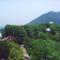 Purple Mountain